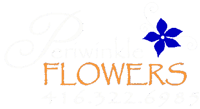 Back to Home Page  |  Periwinkle Flowers Toronto